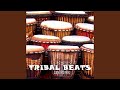 Tribal beats original mix