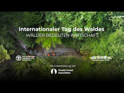 Internationalen Tag der W&auml;lder 2026 - W&auml;lder bedeuten Wirtschaft