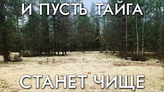 И ПУСТЬ ТАЙГА СТАНЕТ ЧИЩЕ