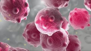 WitsX MOOCs launches on edX
