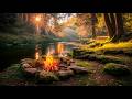 Campfire By The River At Golden Sunrise Forest Birds Flowing Water Ambience