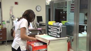 Celebrity Nursing Simulation Overview for Nursing Students Wealth