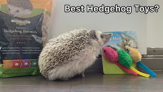 Best and Worst Toys for Hedgehogs| Hedgie Care 101