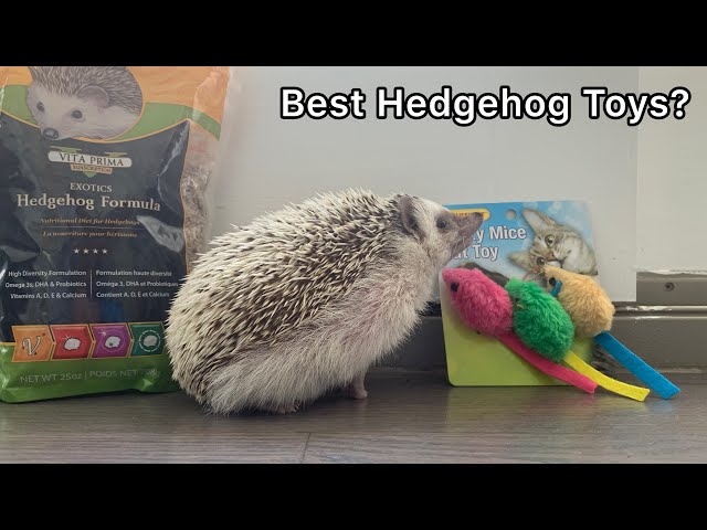 Hedgehog Treat Shuffle Mat