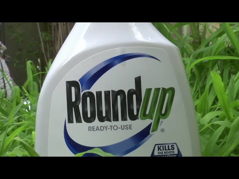 Jury to decide if weed killer caused man's cancer