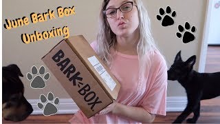 June 2019 Bark Box Unboxing