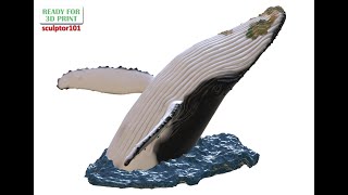 Humpback Whale Head off the Water 3D printable model render coloring by sculptor101