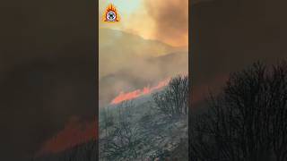 Βελτιωμένη η εικόνα της πυρκαγιάς στον Άγιο Βλάσιο Βοιωτίας