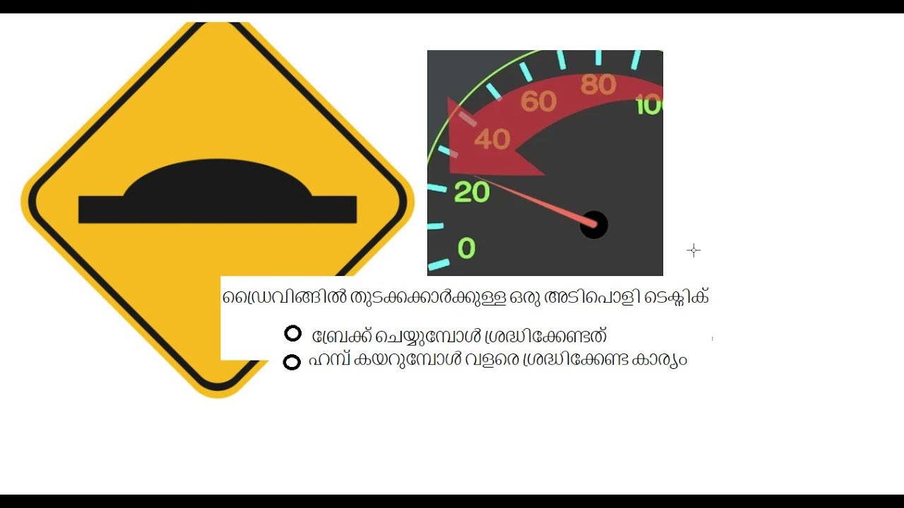 PERFECT DRIVING LEARNER 