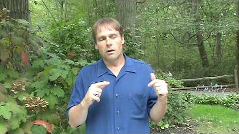 (Part 2) The Problem of Evil and Suffering