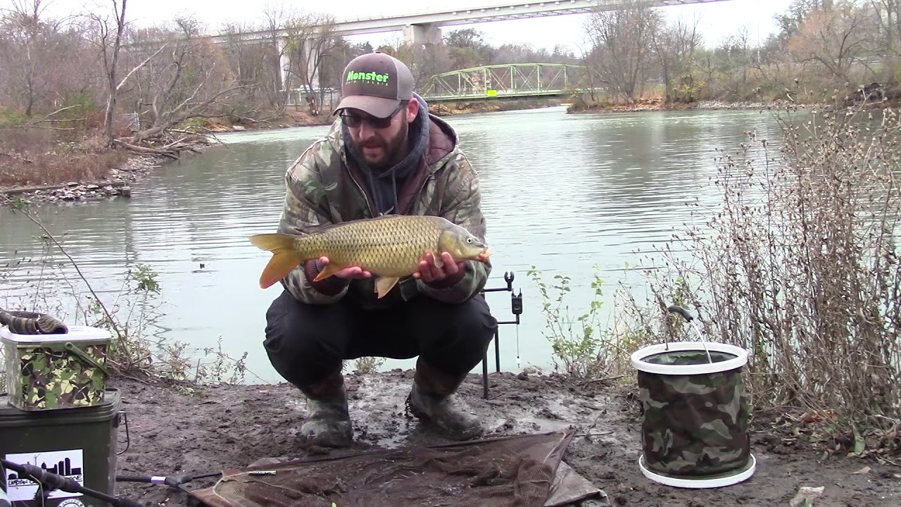 Winter sessions part 1 : Carp
