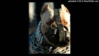 Ogcale - Paranoia Drill