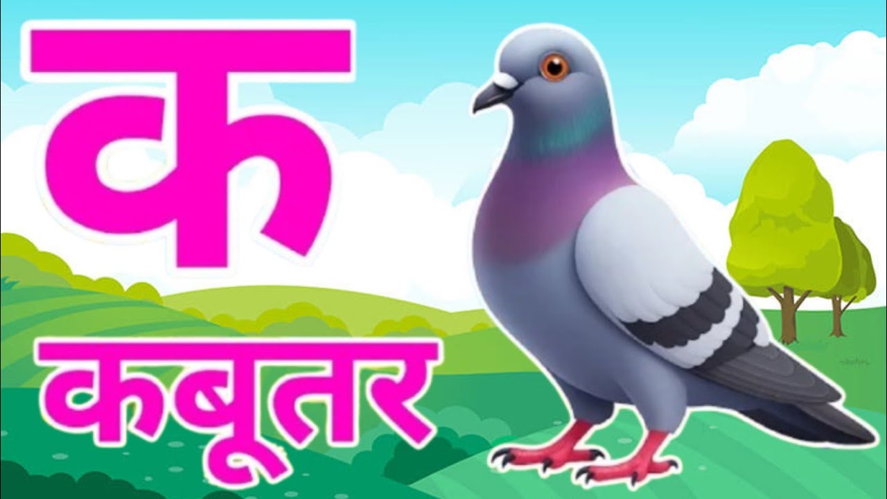 क से कबूतर, अ से अनार a se anaar k sekabutar|Hindi varnmala| क सेकबूतर अ से अनार, Nagendra study tv 