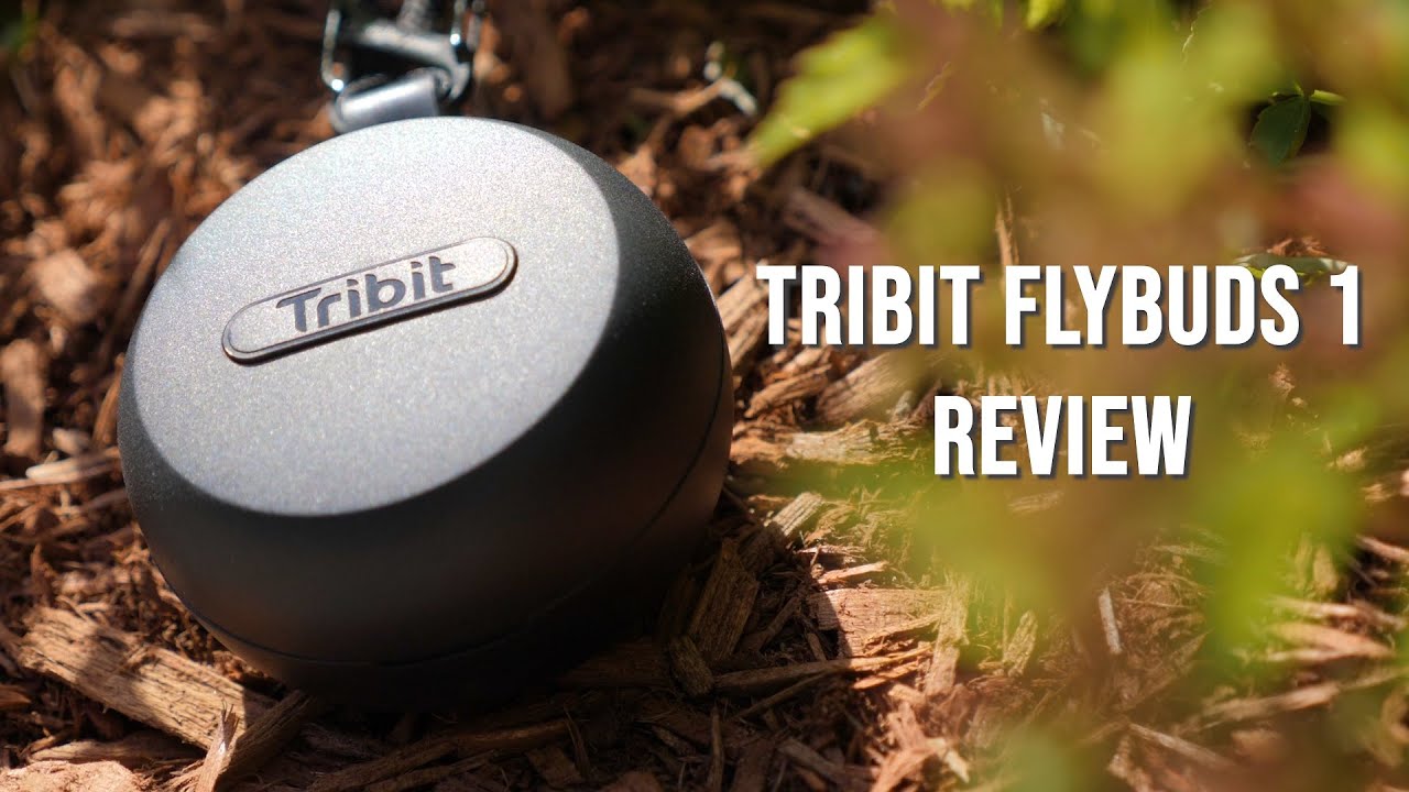 Best Budget True Wireless Earbuds under $50 / Tribit Flybuds 1 Review!