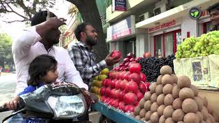 Opportunities and Future  for Pomegranate Cultivation in India screenshot 2