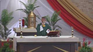 May 29, 2026 - Mass Daily