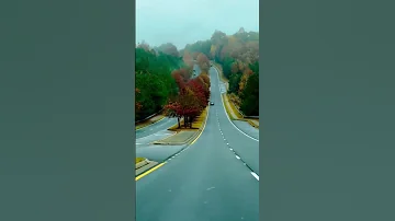عبد الحليم حافظ اول مره تحب يا قلبي العندليب حكايه عشق 