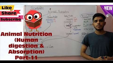 Absorption,Assimilation & Egestion|Target #mducee2023 | lecture-65 #mducee2022 #mducee  #mdu