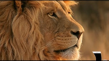 While Loop - PowerShell Recipe