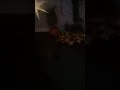 Hoop Jumping Part 2