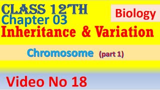chromosome chapter 3 biology inheritance and variation  class 12th video no 18 part 1