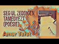 Seg ul zeddigen - tamedyezt - sɣur Amar Tafat - Youtube