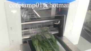 1kg flow packer for vegetable，1kg flow wrapping machinery for fresh greens(全自動蔬菜包裝機，自動感應產品切袋）