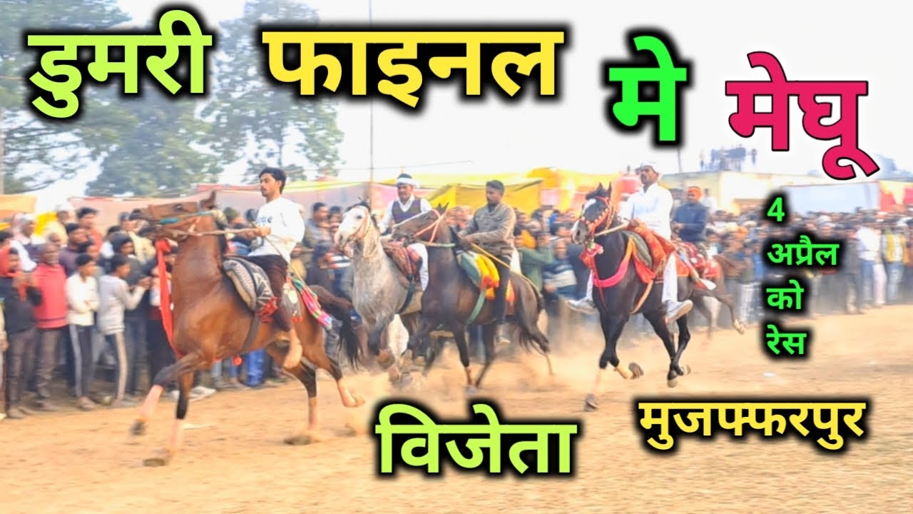 फाइनल रेस डुमरी में रानी कोठी मोतिहारी का घोड़ा सबसे आगे मेघू सवार ने  दिखाई  बेहतरीन घोड़े की चाल