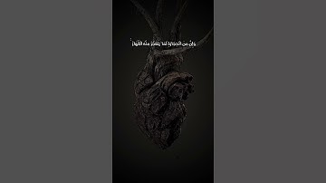 ثم قست قلوبكم .. مشاري العفاسي .. من سورة البقره