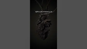 ثم قست قلوبكم مشاري العفاسي من سورة البقره 