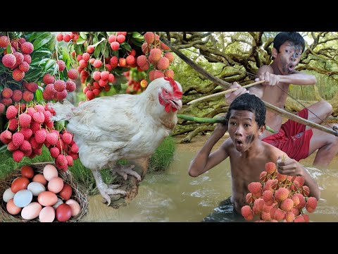 Sobrevivência na floresta tropical - Encontre comida, encontre um frango grande com frutas e coma de