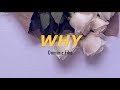 Dominic Fike - Why (lyrics)