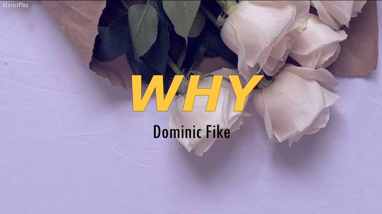 Dominic Fike - Why (lyrics)