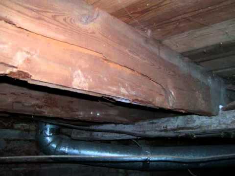 Louisville Crawl Space Floor Joist Repair Youtube