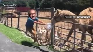 Erzurum 25 Doğru Yerdesiniz