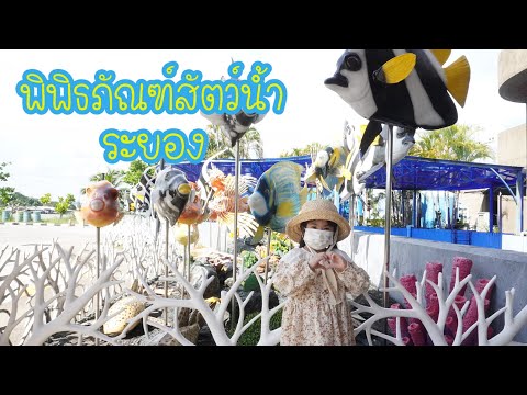 เที่ยวระยอง ดูปลา สัตว์น้ำทะเล พิพิธภัณฑ์สัตว์น้ำระยอง | Ep 69