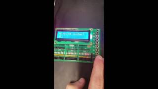 ECE 376 Homework 4: Roulette Wheel