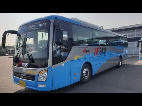 M버스 기점에 정류소 추가 설치…부산·광주도 운행 / 연합뉴스TV (YonhapnewsTV)