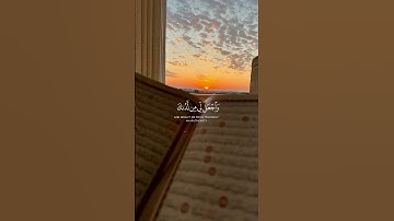 🌌 أجواء سماوية في تلاوة قصيرة تُعيد إليك السلام بصوت القارئ عبدالله مصطفي