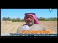 مع استمرار عمليات حصاد القمح والشعير إكثار دير الزور ينهي توزيع بذار القطن ويستعد لموسم الأقماح مع استمرار عمليات حصاد القمح والشعير إكثار دير الزور ينهي توزيع بذار القطن ويستعد لموسم الأقماح