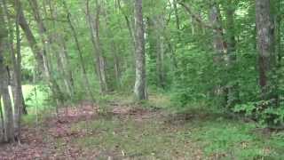 Refuges and Sanctuaries Ipswich MA Julia Bird Reservation Part 1