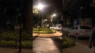 Noches En La Condesa