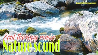 Download Lagu Musik terapi jiwa, dengan suara air mengalir lembut \u0026 nyanyian burung hutan, musik terapi indah. MP3