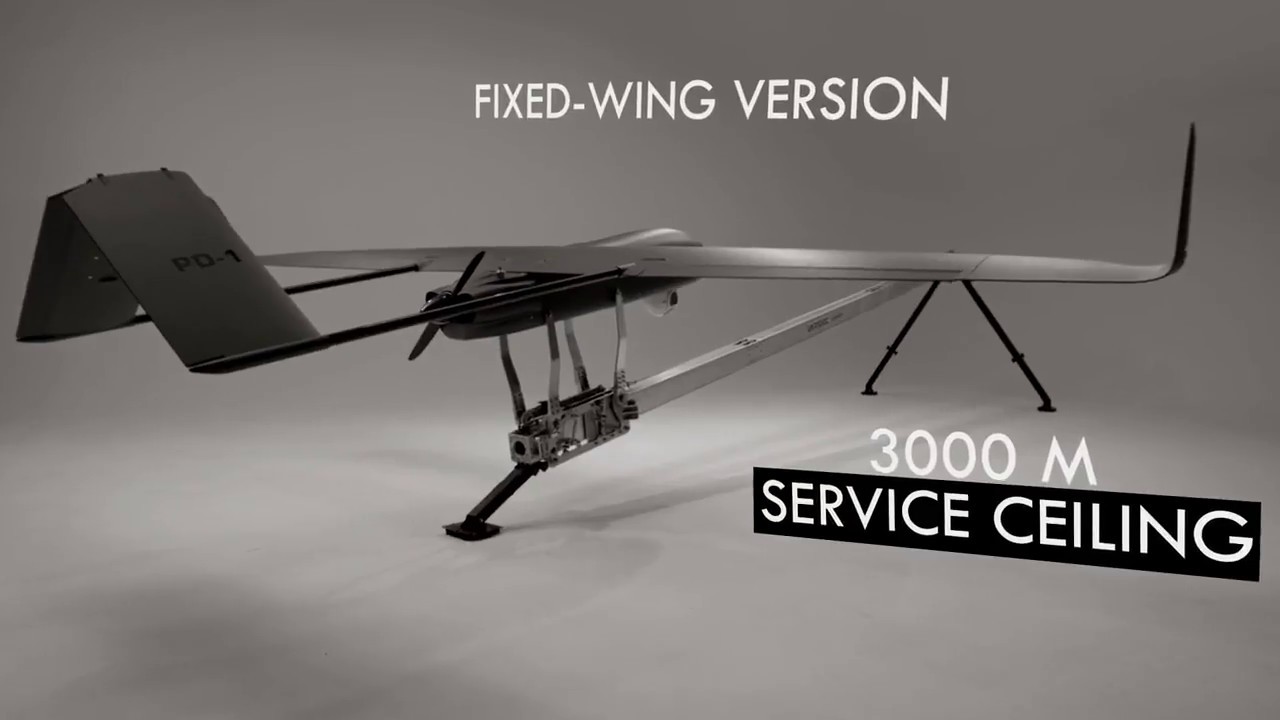 Wings version Wings version