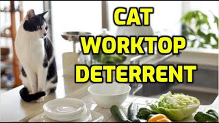 How To Keep Cats Off The Kitchen Counter