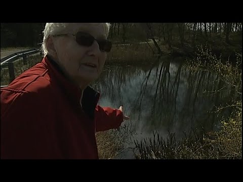 Bævere ødelægger Gerdas sø: Send dem til København! - DR Nyheder Bævere ødelægger Gerdas sø: Send dem til København! - DR Nyheder