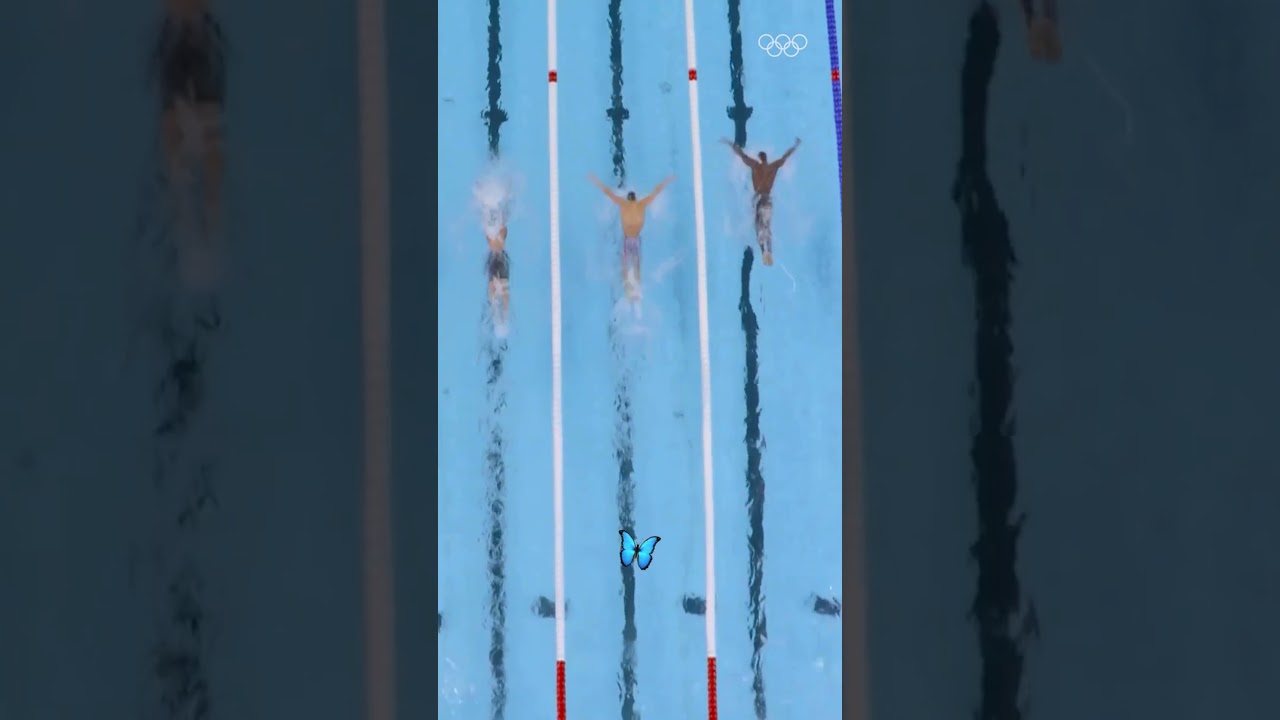 POV: You're a butterfly watching the men's 100m butterfly at #Paris2024. #Olympics