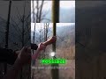 Tree Swallowed a Human Hand After Years 😱🌳