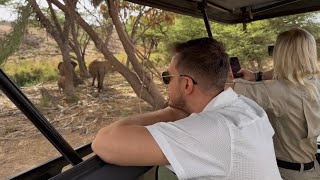 Safari in Kenya - Samburu, Nakuru, Masai Mara