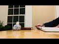 Day 0220. 4 minutes read with me | No music | Background noise